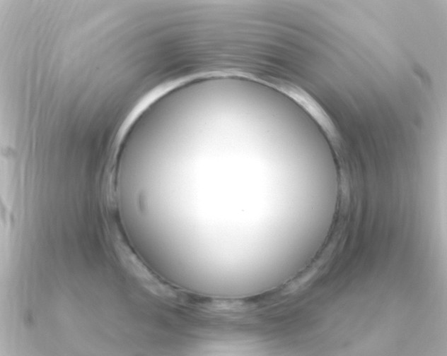 X0000091361052200708101051