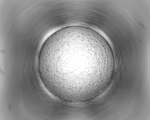X0000091361053200708101051