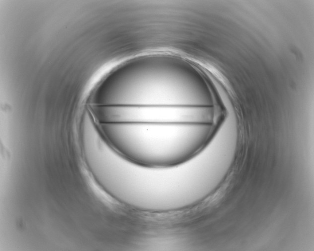 X0000091361054200708101051