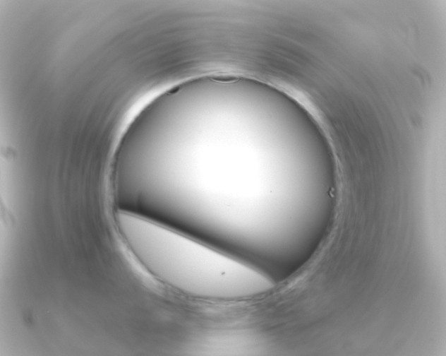 X0000091361056200708101051