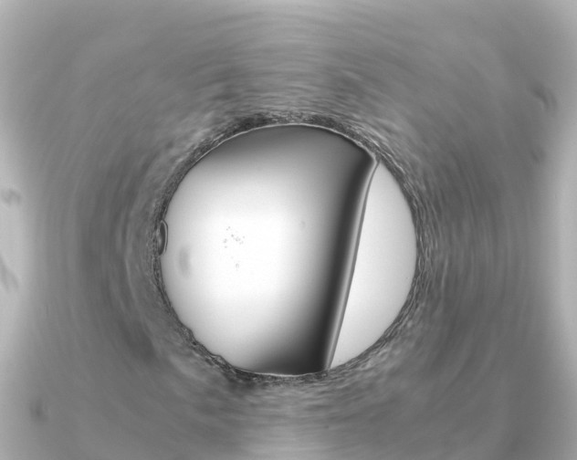 X0000091361057200708101051