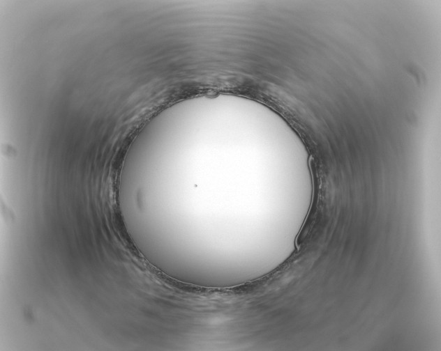 X0000091361058200708101051