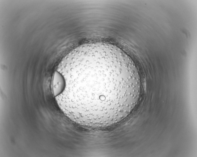 X0000091361059200708101051