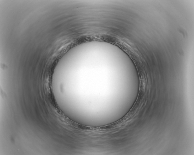 X0000091361060200708101051