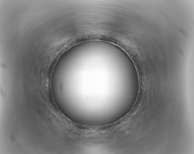 X0000091361061200708101051