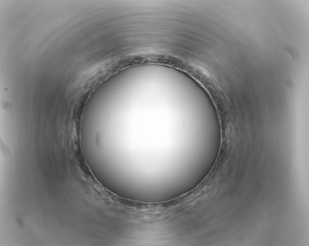 X0000091361062200708101051