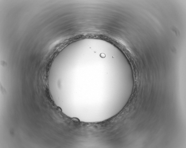X0000091361063200708101051