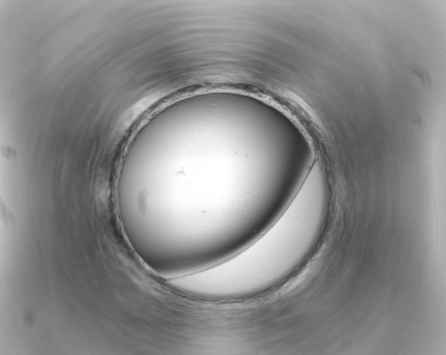 X0000091361065200708101051
