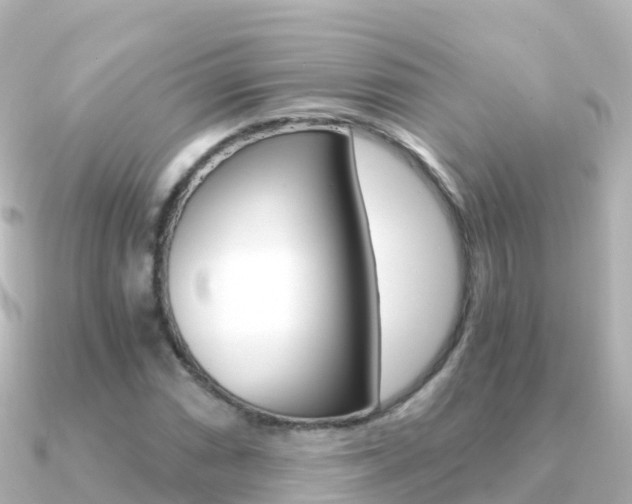 X0000091361066200708101050