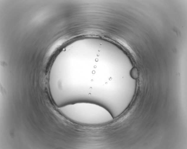 X0000091361067200708101050