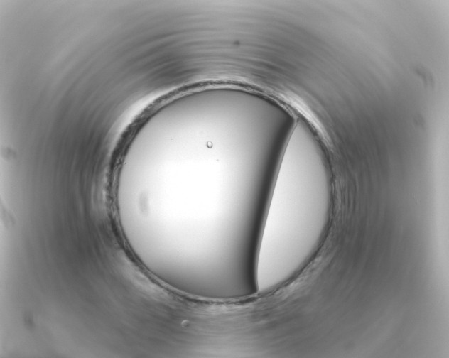 X0000091361068200708101050