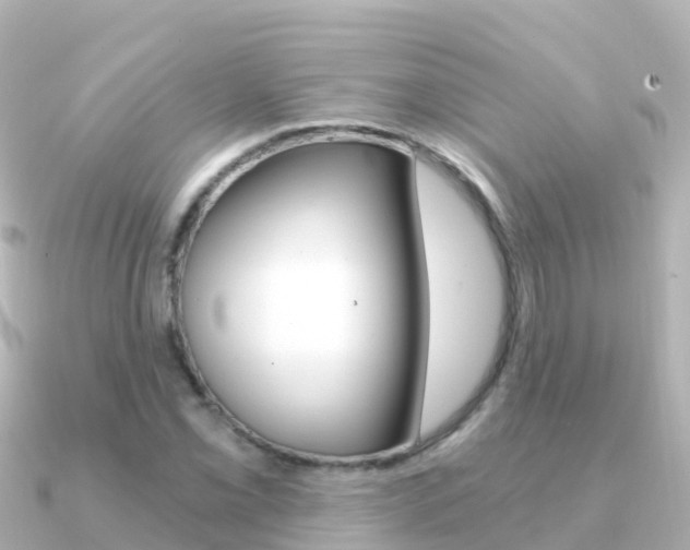 X0000091361069200708101050