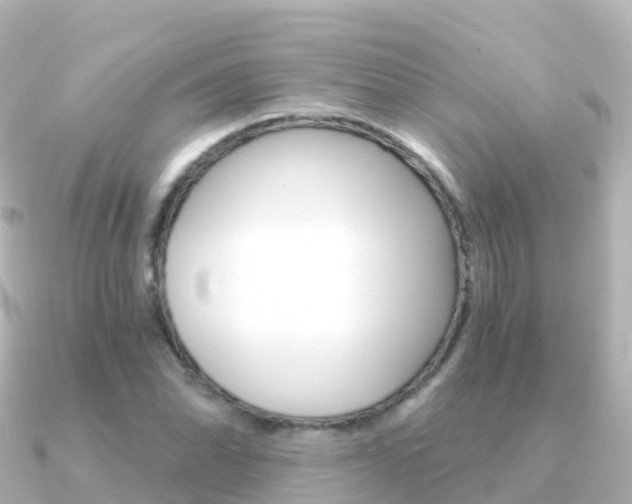 X0000091361070200708101050