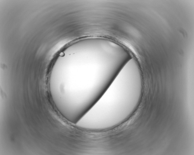 X0000091361071200708101050