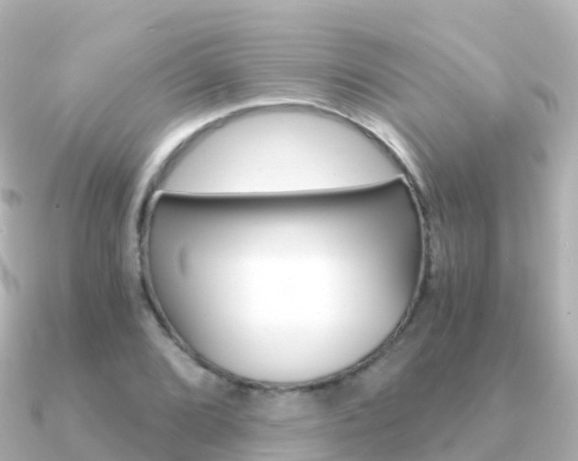 X0000091361072200708101050