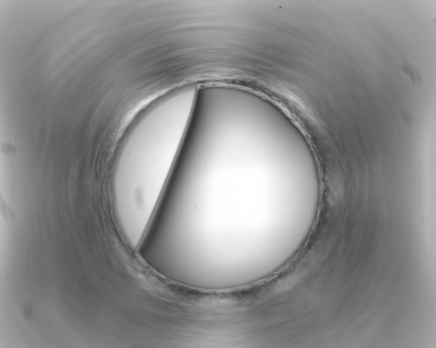 X0000091361073200708101050