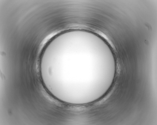 X0000091361074200708101050