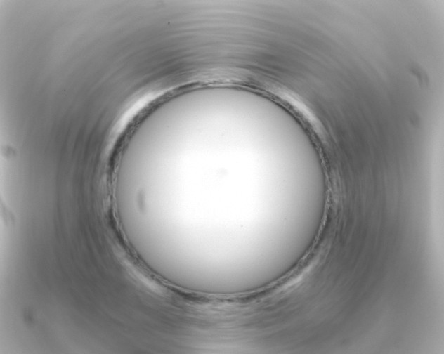 X0000091361075200708101050