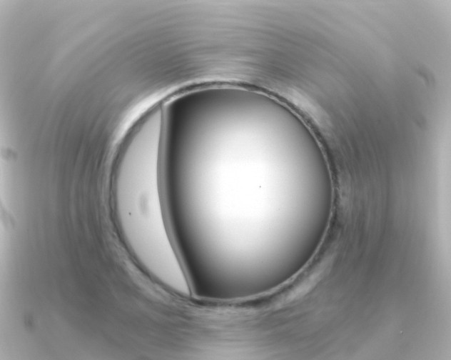 X0000091361077200708101050