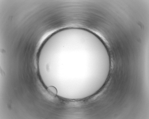 X0000091361078200708101050