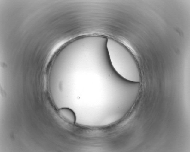 X0000091361079200708101050