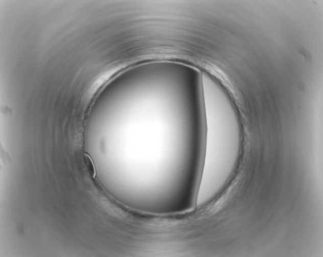 X0000091361081200708101050