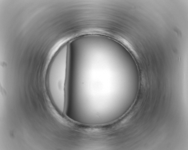 X0000091361082200708101050