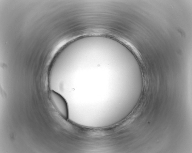 X0000091361083200708101050