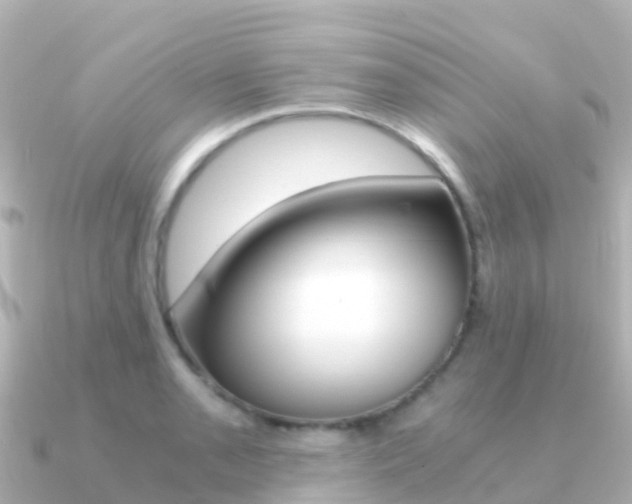 X0000091361085200708101050