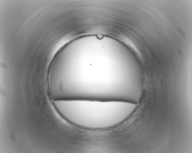X0000091361087200708101050
