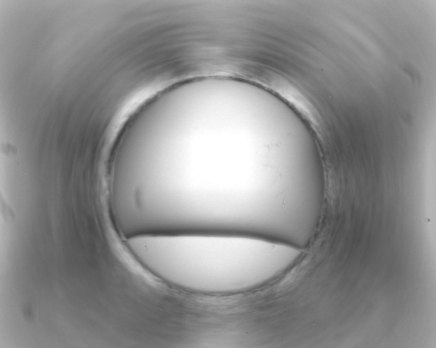X0000091361088200708101050
