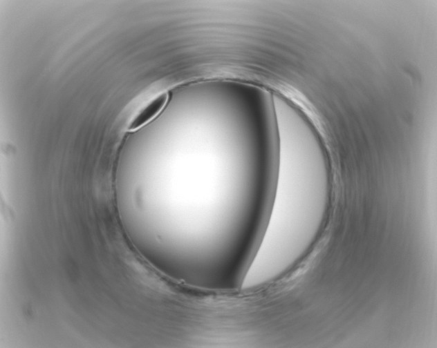 X0000091361089200708101050