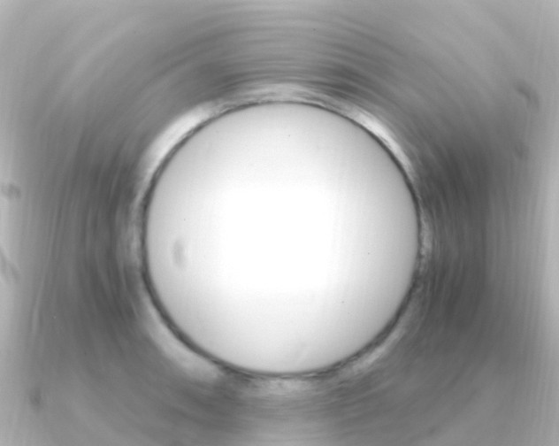 X0000091361090200708101050