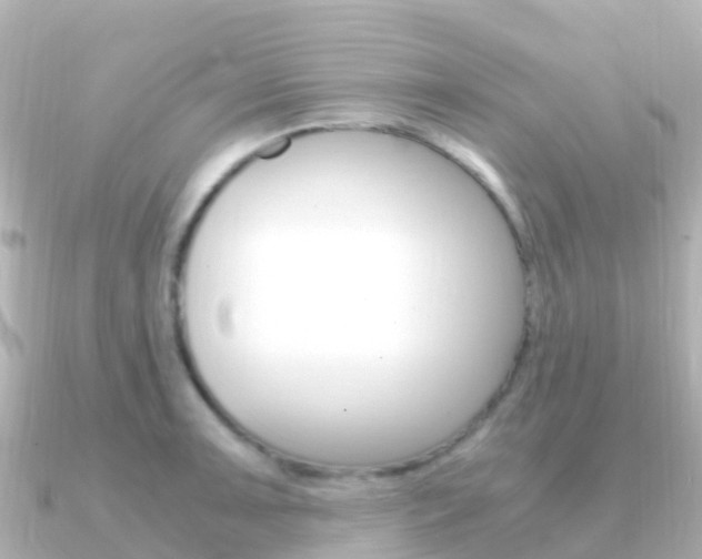 X0000091361091200708101050