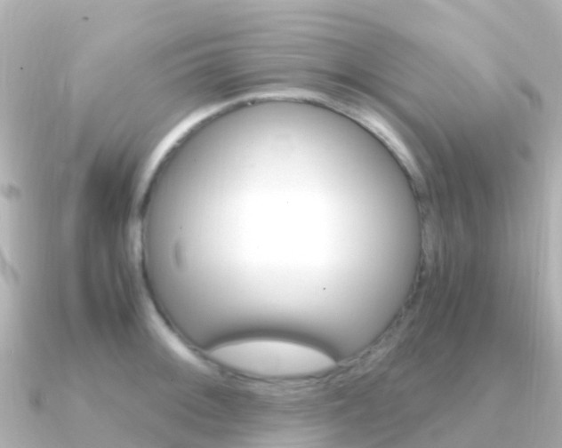 X0000091361092200708101050