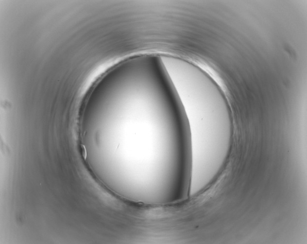 X0000091361093200708101050