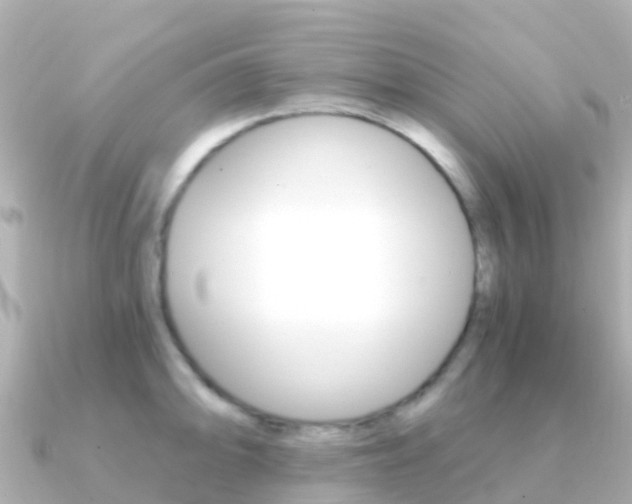 X0000091361094200708101050