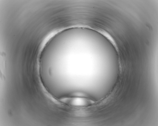 X0000091361096200708101050