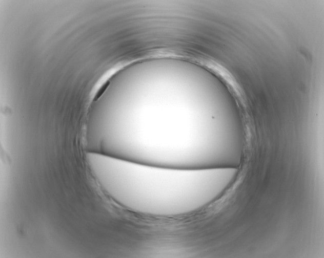 X0000091361097200708101050