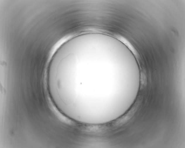 X0000091361098200708101050