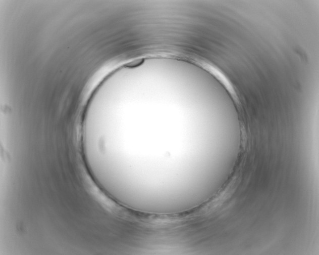 X0000091361099200708101050