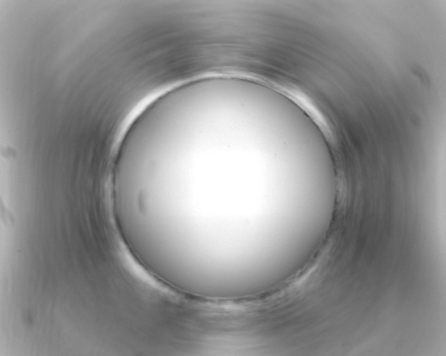 X0000091361100200708101050