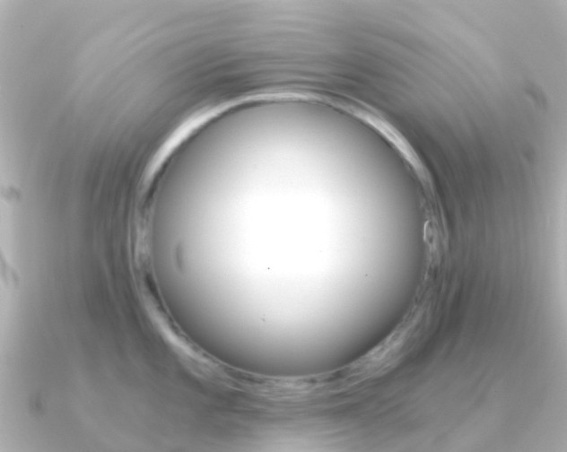 X0000091361101200708101050