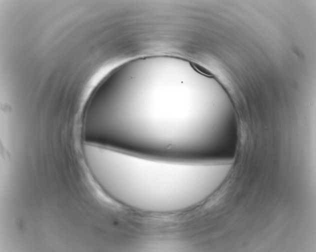 X0000091361102200708101050