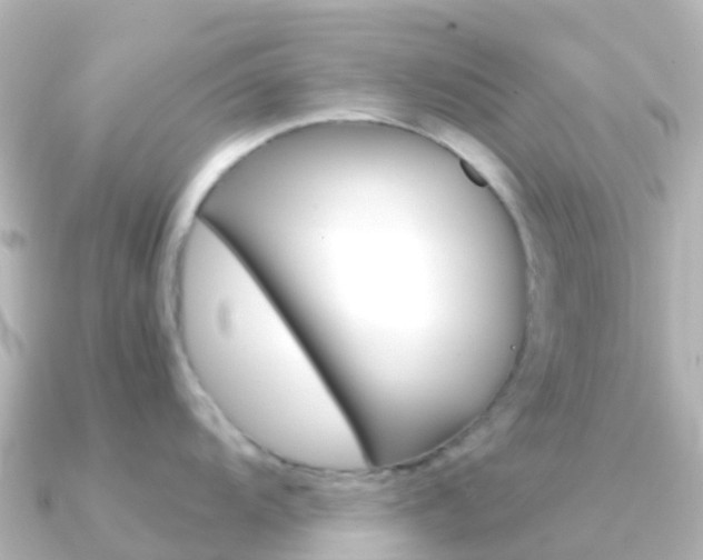 X0000091361104200708101050