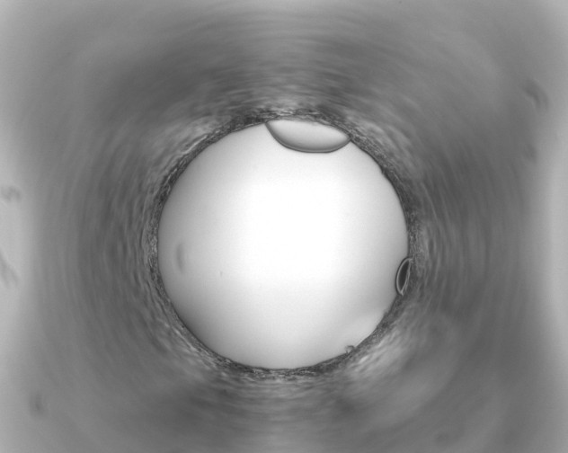 X0000091361105200708101050