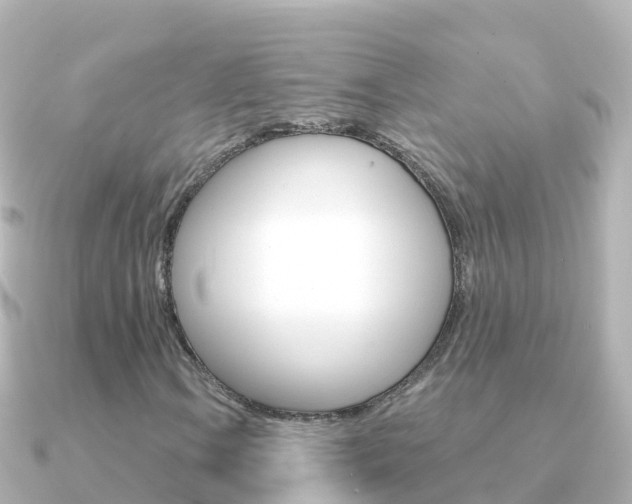 X0000091361106200708101050