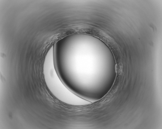 X0000091361108200708101050