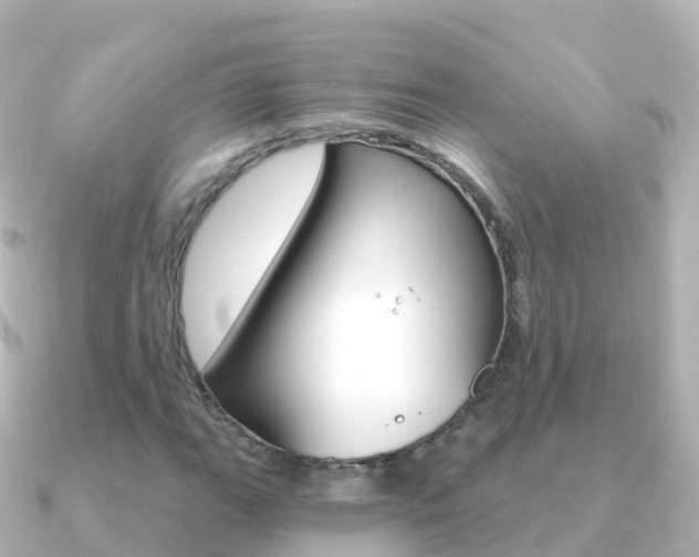X0000091361111200708101050