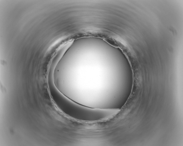 X0000091361112200708101050